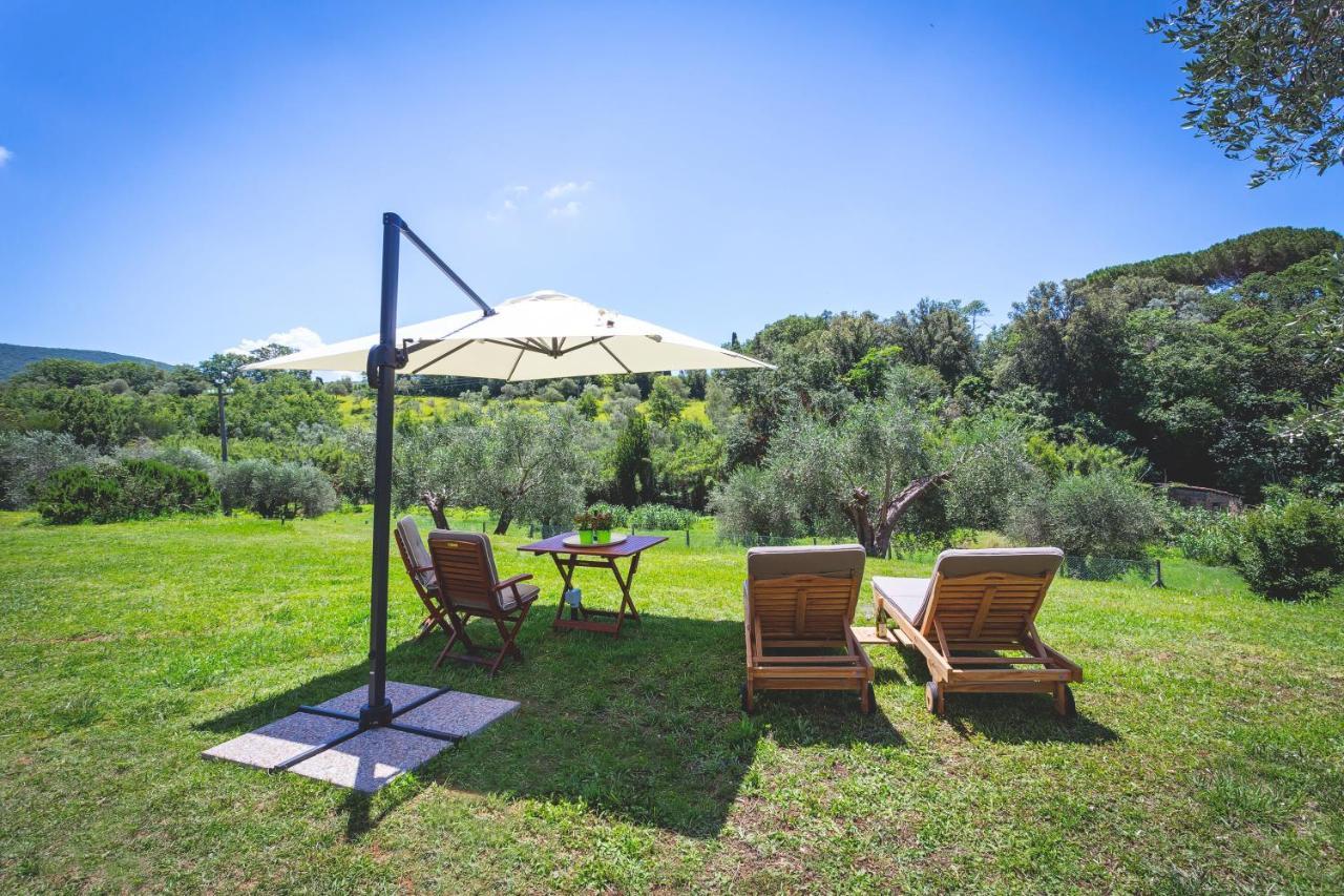 Gatto Rosso Bed & Breakfast Bolgheri Exterior foto