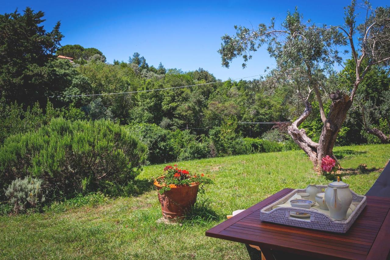 Gatto Rosso Bed & Breakfast Bolgheri Exterior foto