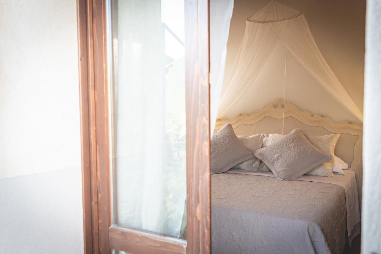 Gatto Rosso Bed & Breakfast Bolgheri Exterior foto